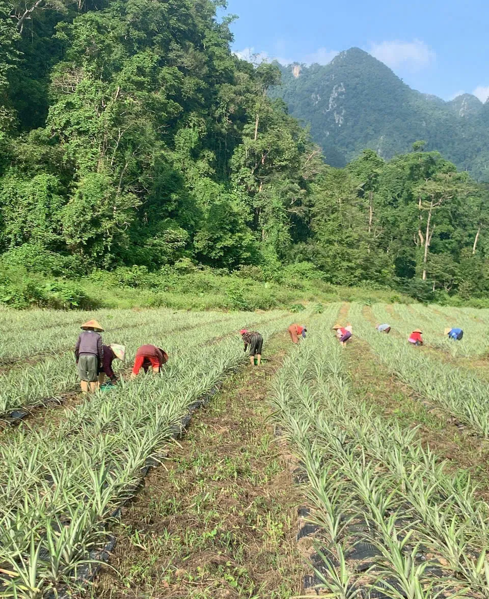 Gặp người Rục